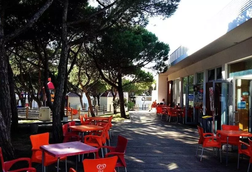 Fotos del hotel Parque De Campismo Orbitur Guincho:  12