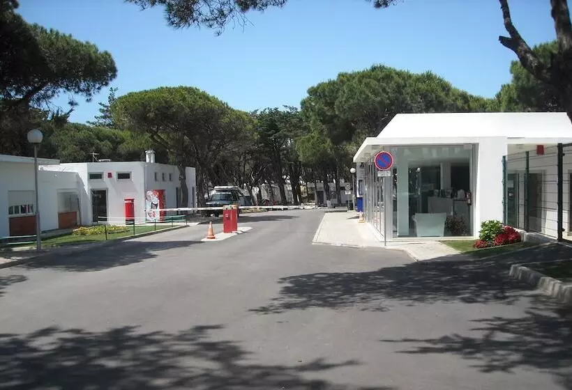 Fotos del hotel Parque De Campismo Orbitur Guincho:  14