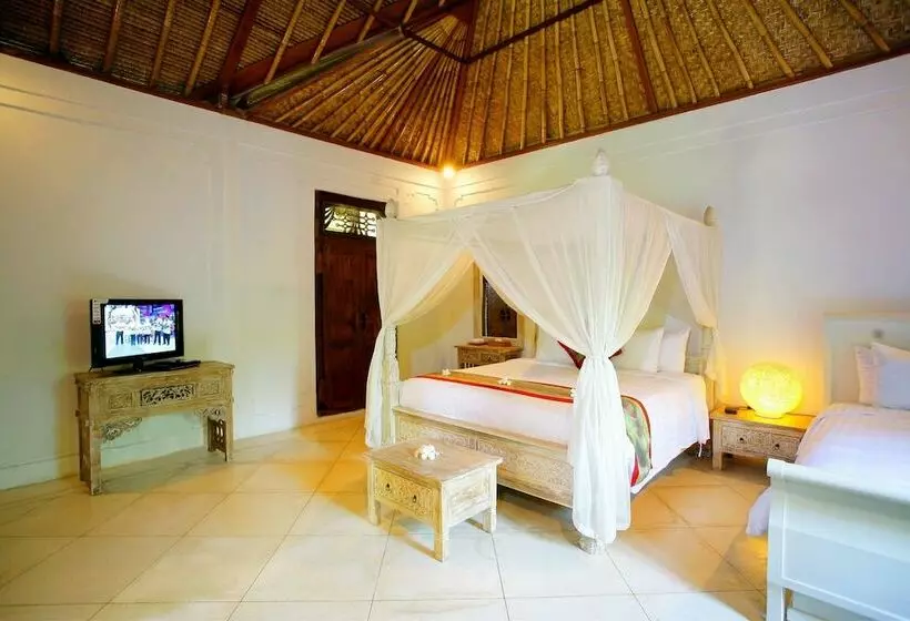 Fotos del hotel Bali Hidden Paradise Villa:  17