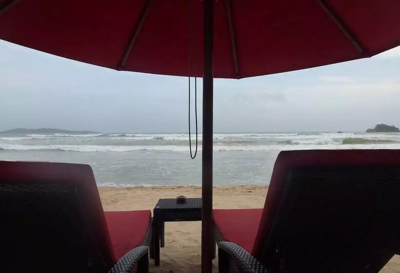 Fotos del hotel Samaru Beach House:  10
