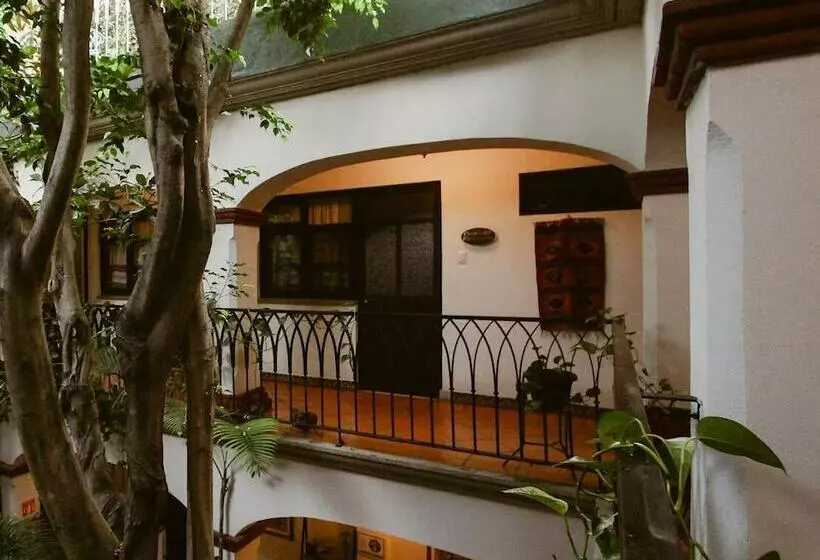 Fotos del hotel Casa Guivá:  9