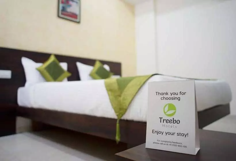 Fotos del hotel Treebo Trend Celeste:  25