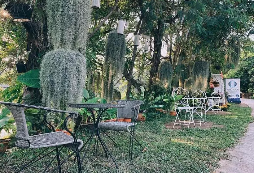 Fotos del hotel Anchan Laguna:  12