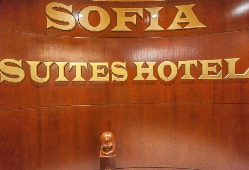 Fotos del hotel Sofia Suites:  9