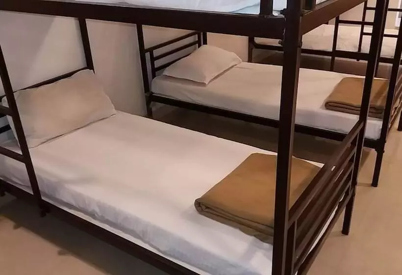 Fotos del hotel Orion:  8