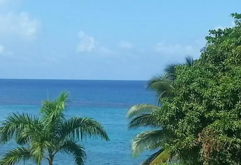 Fotos del hotel Marine View:  9