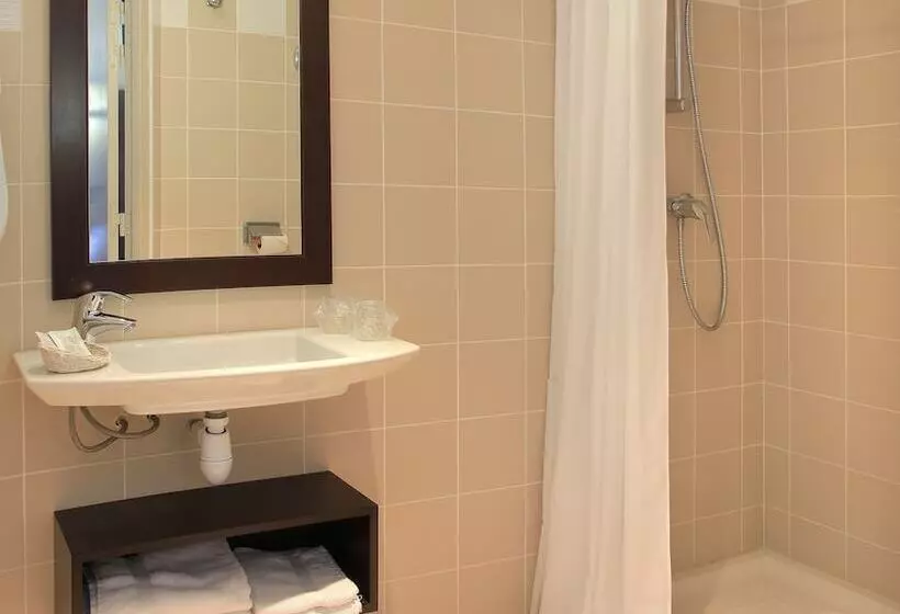Fotos del hotel Grand Hôtel De La Basilique:  7