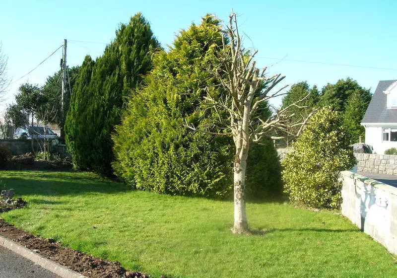 Fotos del hotel Clareville B&b:  5