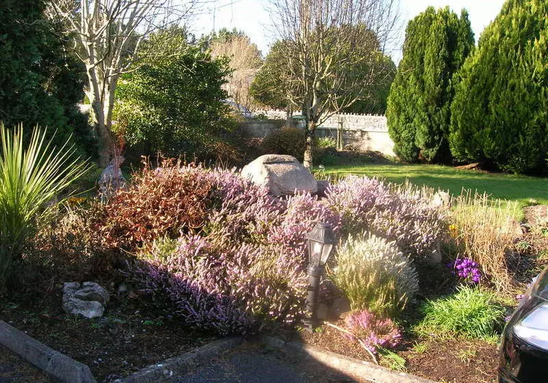Fotos del hotel Clareville B&b:  9