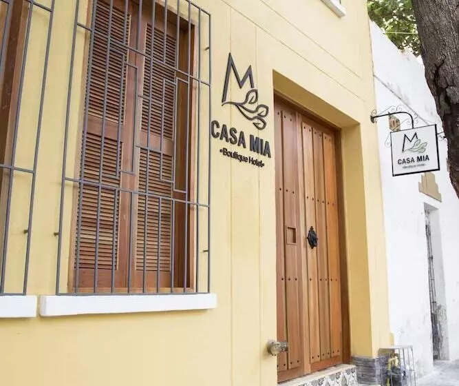 Fotos del hotel Boutique Casa Mia:  3