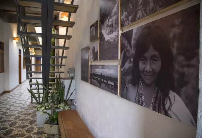 Fotos del hotel Boutique Casa Mia:  5