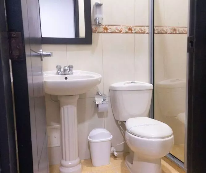Fotos del hotel Sixtina Plaza:  8