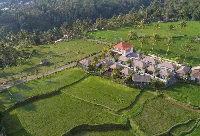 Fotos del hotel Amatara Abirama Villas:  4