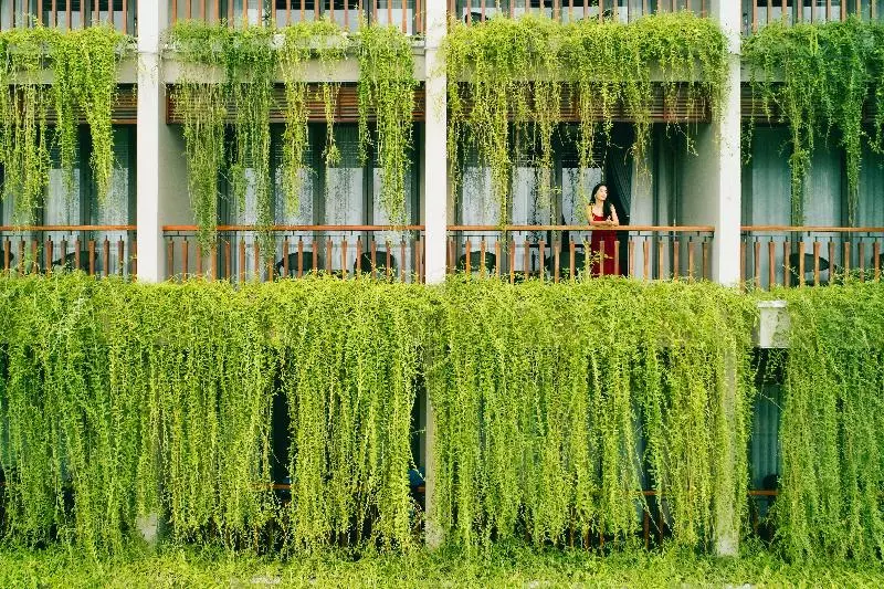Fotos del hotel Silk Sense Hoi An River Resort:  12