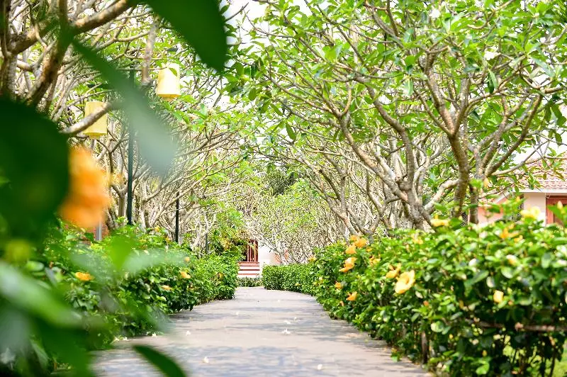 Fotos del hotel Silk Sense Hoi An River Resort:  24