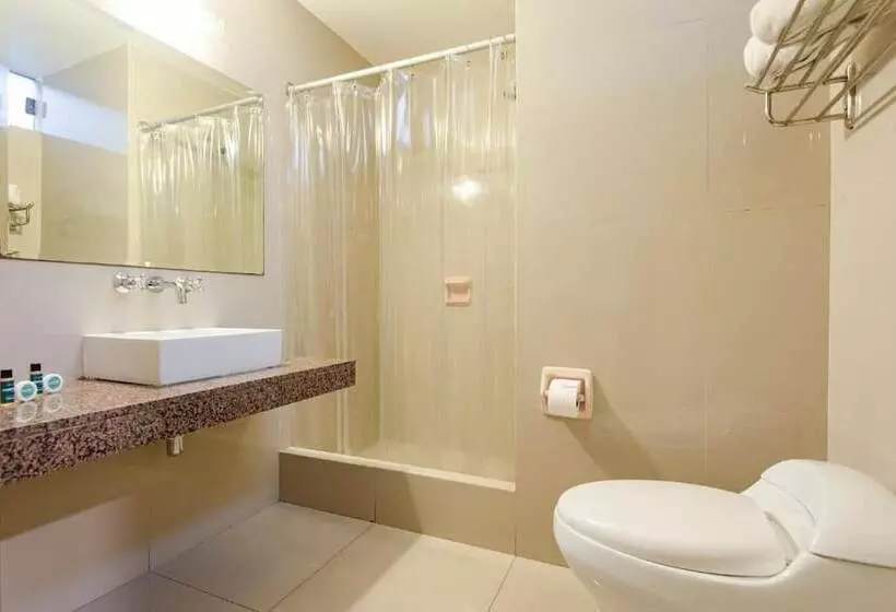 Fotos del hotel Ayenda María Luisa:  4