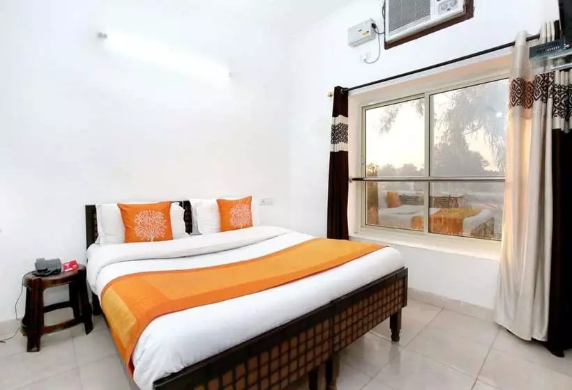 Fotos del hotel Oyo 9371 Hotel Anmol:  24