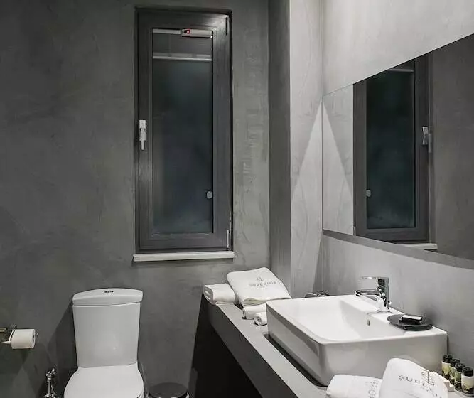 Fotos del hotel Superior One Boutique:  5