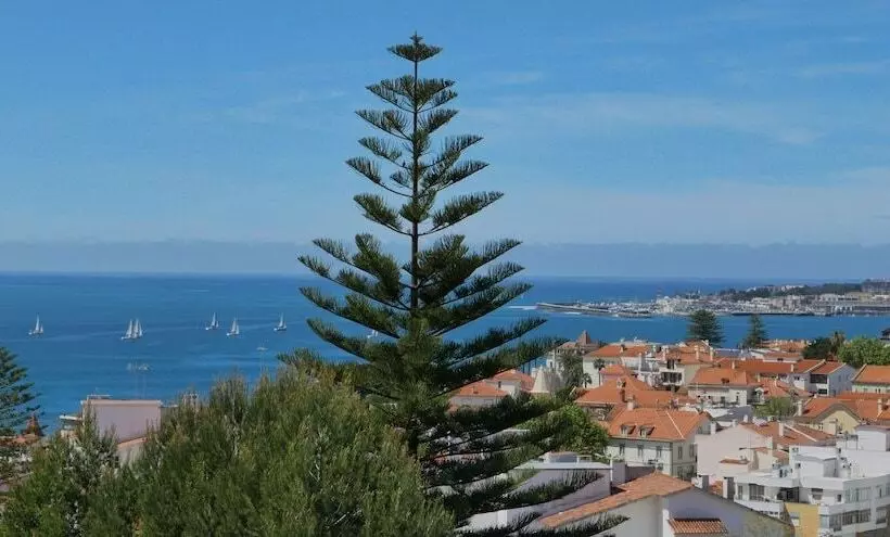 Fotos del hotel Dolce Vita Guesthouse:  5