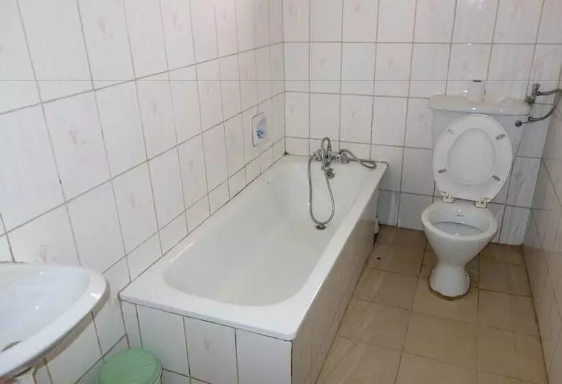 Fotos del hotel Satellite:  9