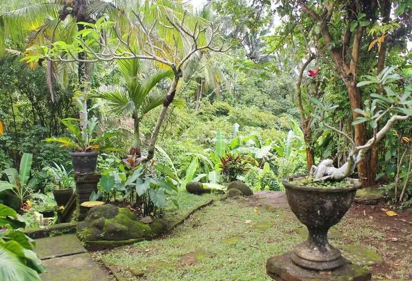 Fotos del hotel Lecuk Inn Ubud:  14