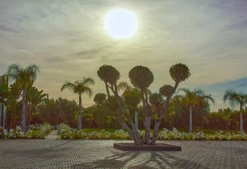 Fotos del hotel Villa Jardins D'isa:  16
