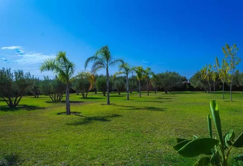 Fotos del hotel Villa Jardins D'isa:  14