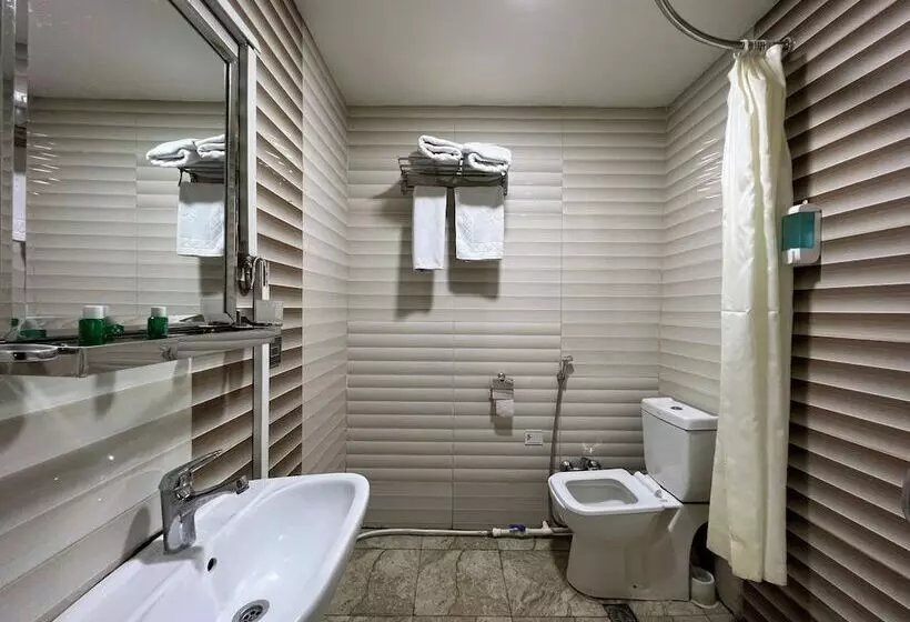 Fotos del hotel Salam:  13