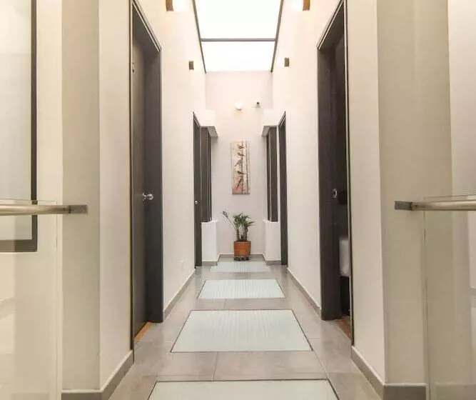 Fotos del hotel Terraza  Bogota:  2