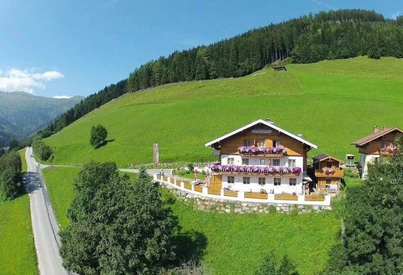 Fotos del hotel -pension Lackenbauer:  21
