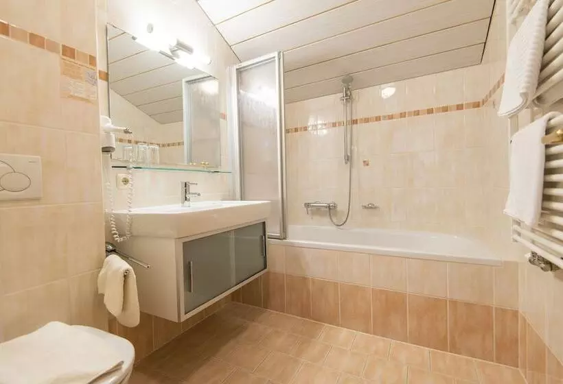 Fotos del hotel -pension Lackenbauer:  4