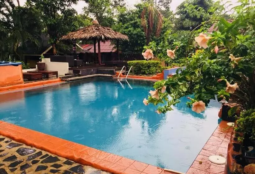 Faye Orchid Resort
