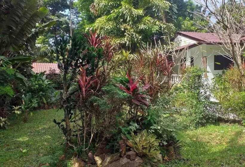 Fotos del hotel Kamrai Resort:  13