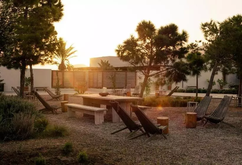 Fotos del hotel Oku Kos:  13