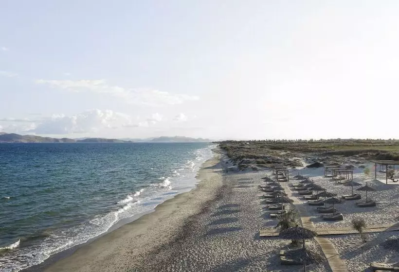 Fotos del hotel Oku Kos:  14