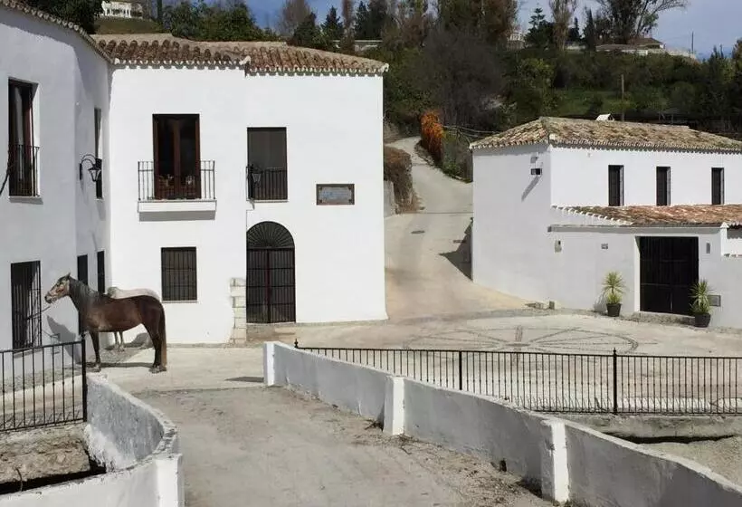 Fotos del hotel Molino De Saladilla:  22