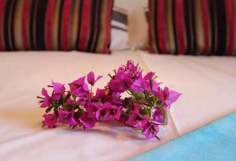 Fotos del hotel Molino De Saladilla:  25