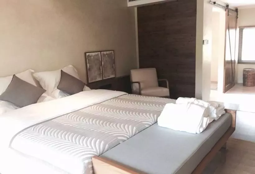 Fotos del hotel Vision:  11