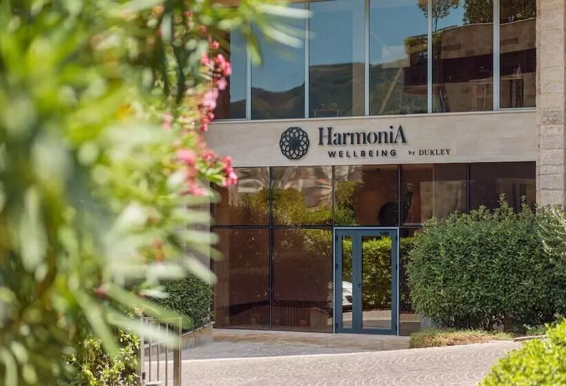 Fotos del hotel Hotel Harmonia by Dukley:  15