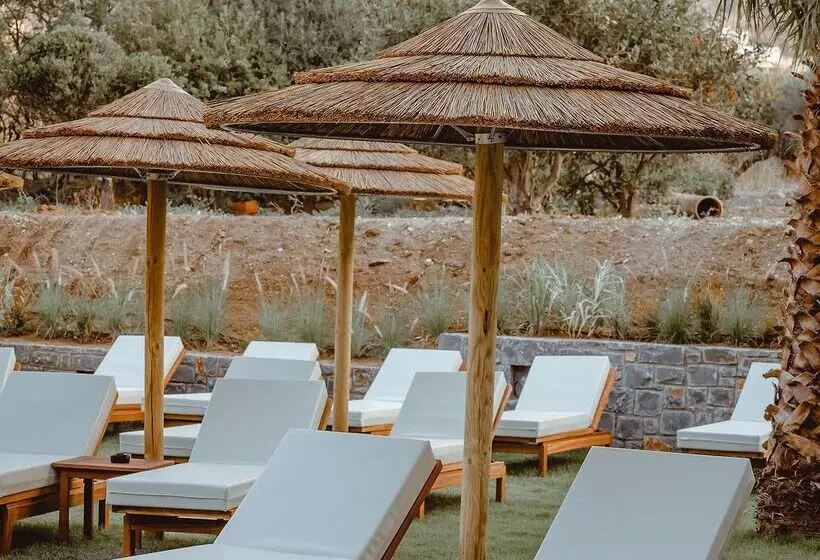 Fotos del hotel Cook's Club Hersonissos Crete:  20