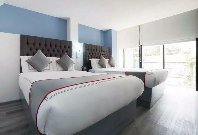 Fotos del hotel Suites Arboleda 215:  8