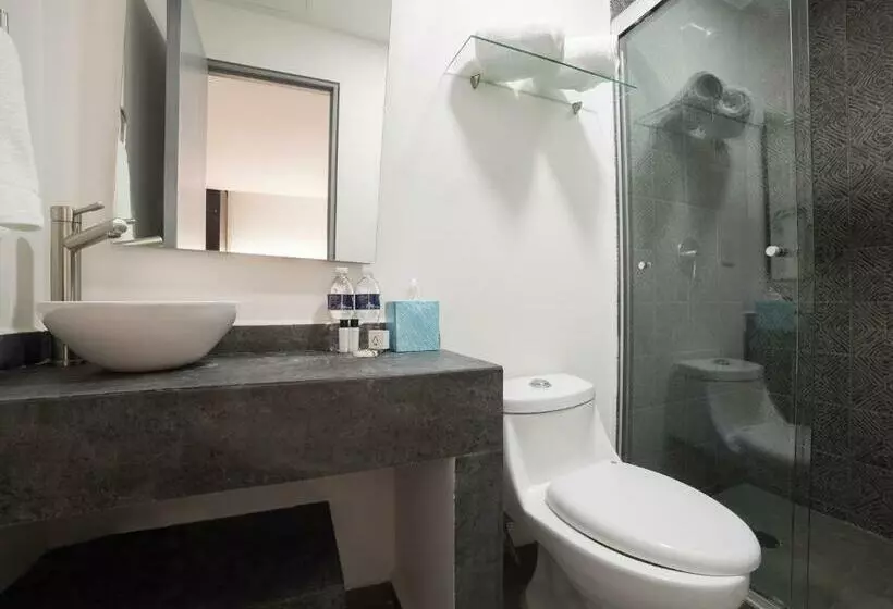 Fotos del hotel Suites Arboleda 215:  9