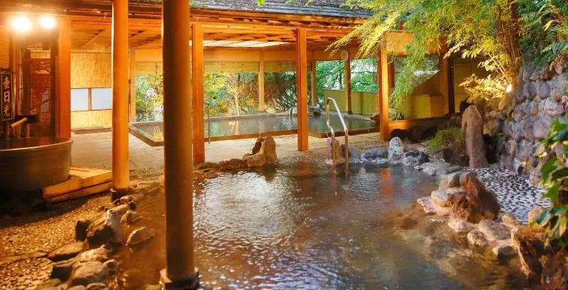 Fotos del hotel Livemax Resort Kawaji:  19