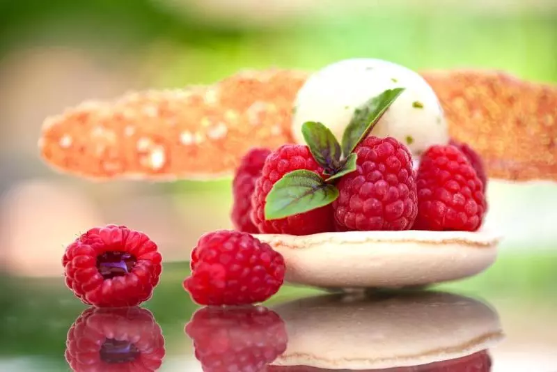 Chateau De Massillan