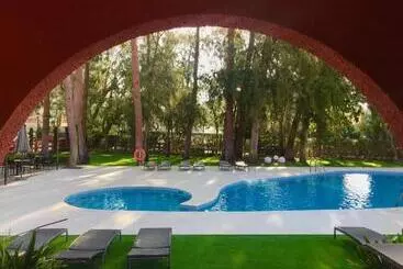 Intelier Bonaire - Benicasim