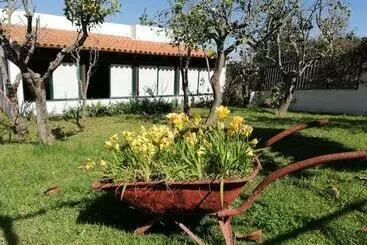 Casa Rural Limón Y Sol - El Sauzal