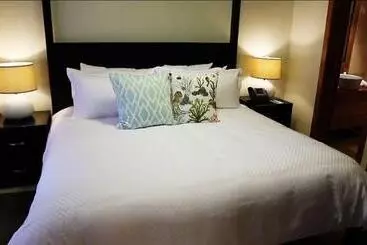 Bannister By Mint - Samana