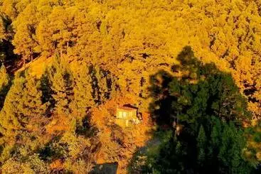 Tiny House Vogelnest - Garafia