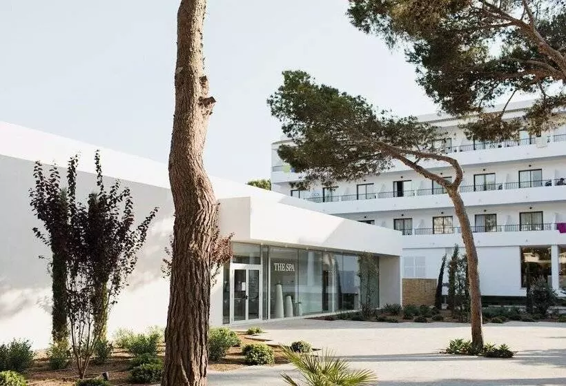 Fotos del hotel Diamant:  8