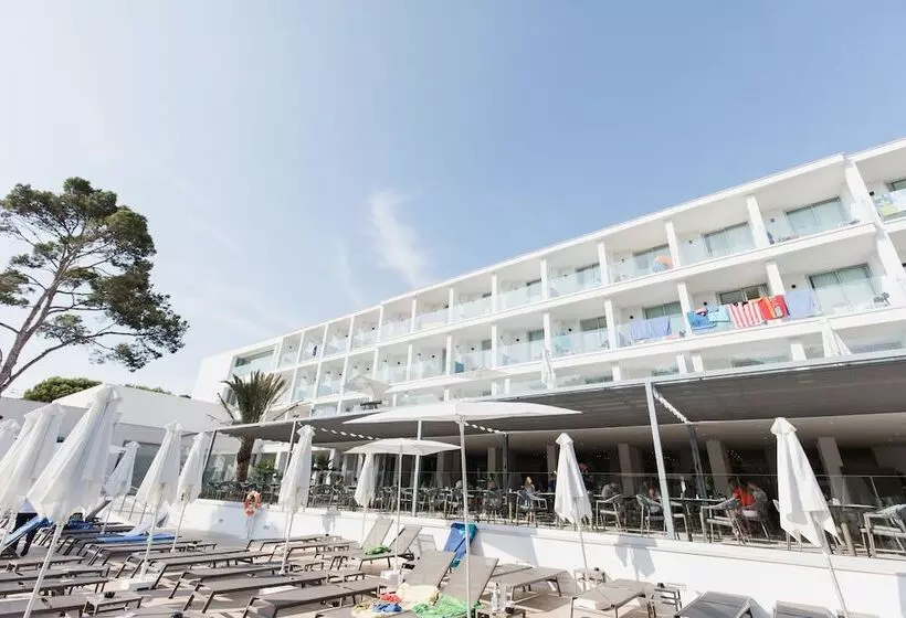 Fotos del hotel Diamant:  13